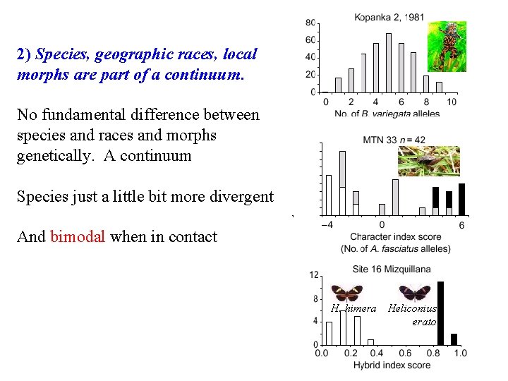 2) Species, geographic races, local morphs are part of a continuum. No fundamental difference