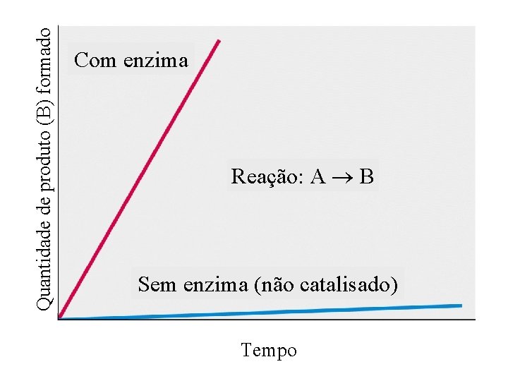 Quantidade de produto (B) formado Com enzima Reação: A B Sem enzima (não catalisado)