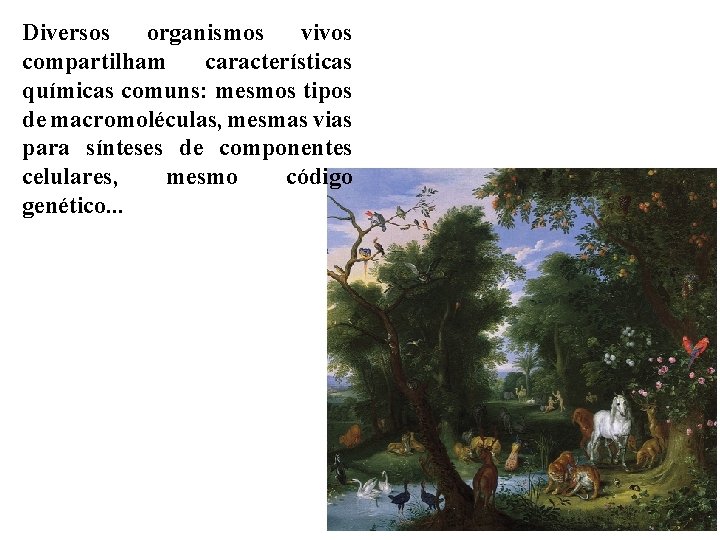Diversos organismos vivos compartilham características químicas comuns: mesmos tipos de macromoléculas, mesmas vias para