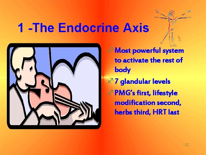 1 -The Endocrine Axis f. Most powerful system to activate the rest of body