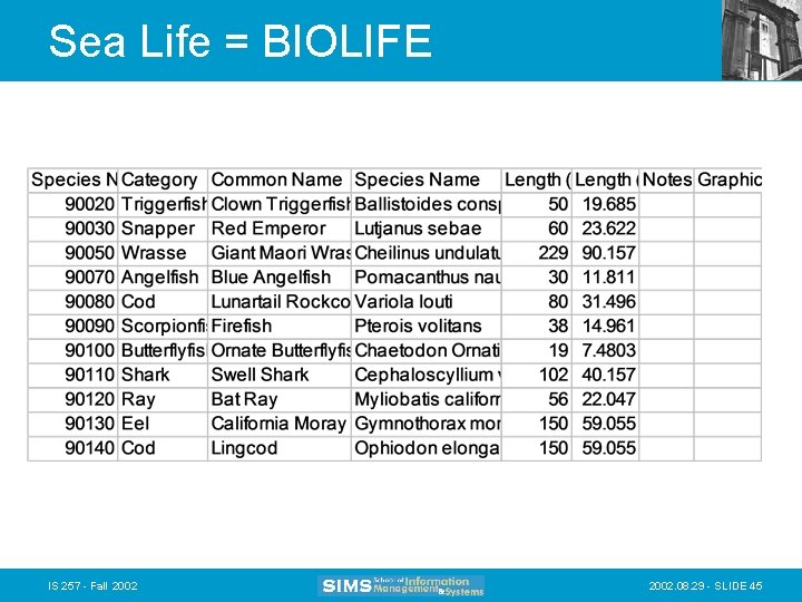 Sea Life = BIOLIFE IS 257 - Fall 2002. 08. 29 - SLIDE 45 Sea Life = BIOLIFE IS 257 - Fall 2002. 08. 29 - SLIDE 45