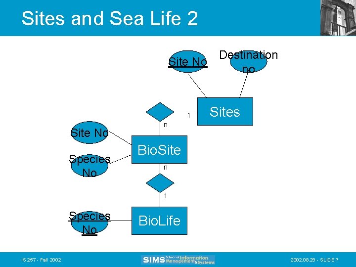 Sites and Sea Life 2 Destination Site No no 1 Site No Species No