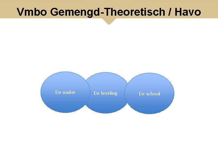 Vmbo Gemengd-Theoretisch / Havo De ouder De leerling De school 