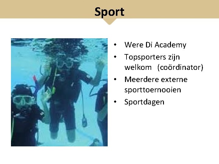 Sport • Were Di Academy • Topsporters zijn welkom (coördinator) • Meerdere externe sporttoernooien