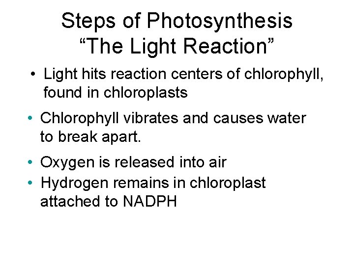 Steps of Photosynthesis “The Light Reaction” • Light hits reaction centers of chlorophyll, found