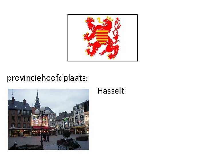 provinciehoofdplaats: Hasselt 