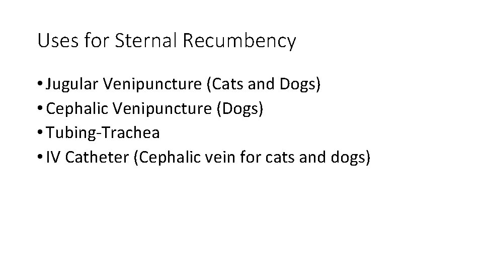 Uses for Sternal Recumbency • Jugular Venipuncture (Cats and Dogs) • Cephalic Venipuncture (Dogs)