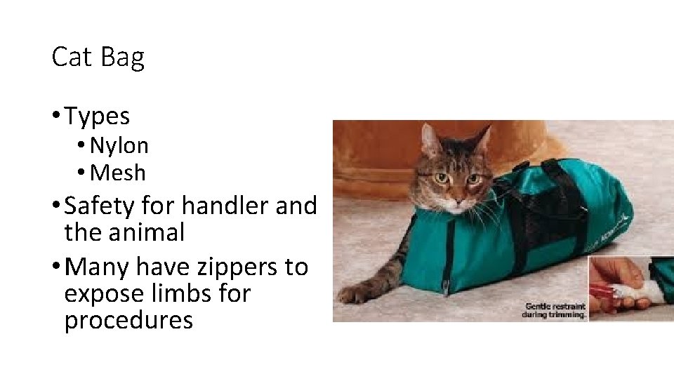 Cat Bag • Types • Nylon • Mesh • Safety for handler and the