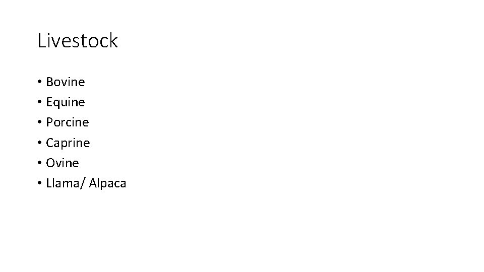 Livestock • Bovine • Equine • Porcine • Caprine • Ovine • Llama/ Alpaca