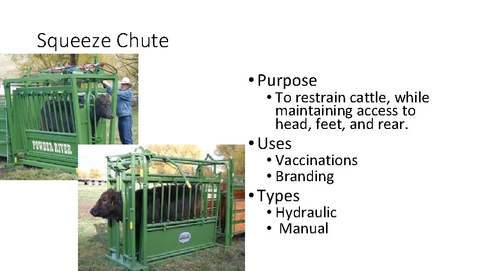 Squeeze Chute • Purpose • To restrain cattle, while maintaining access to head, feet,