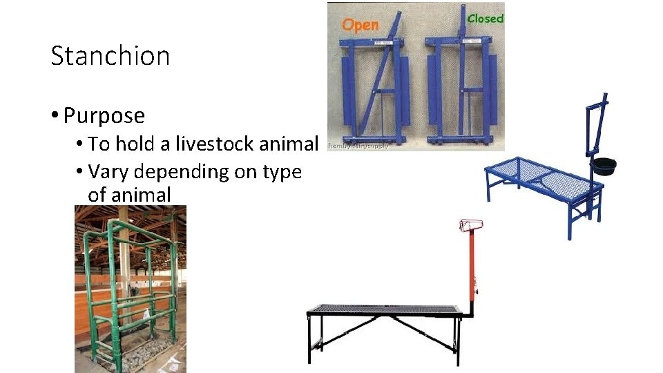 Stanchion • Purpose • To hold a livestock animal • Vary depending on type