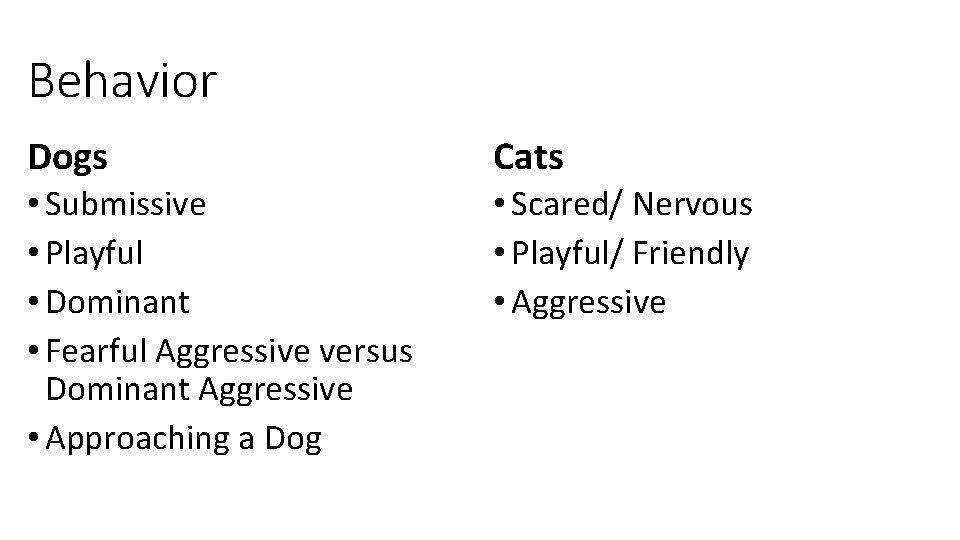 Behavior Dogs Cats • Submissive • Playful • Dominant • Fearful Aggressive versus Dominant