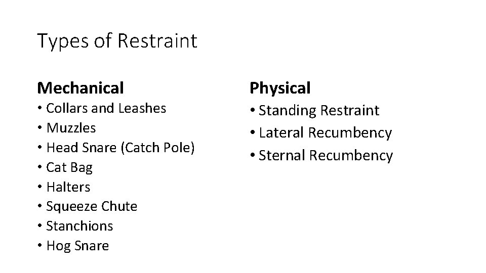Handling and Restraint Vet Science Ms Bly Behavior
