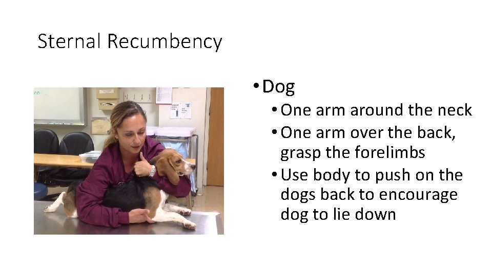Sternal Recumbency • Dog • One arm around the neck • One arm over