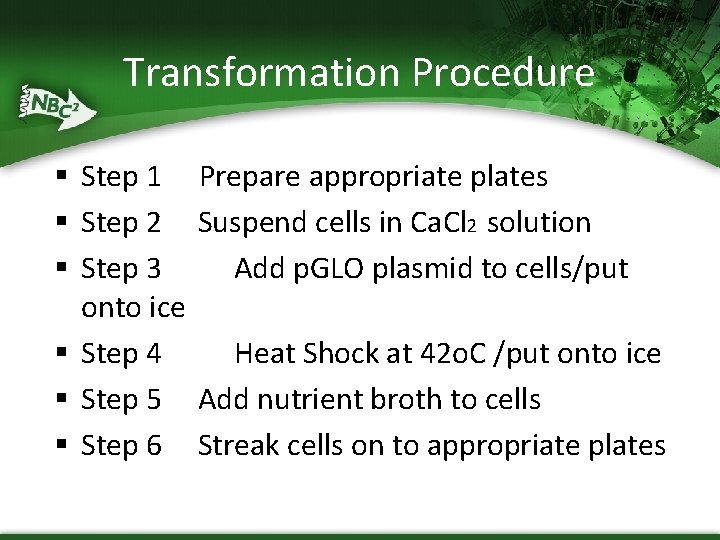 Transformation Procedure § Step 1 § Step 2 § Step 3 onto ice §