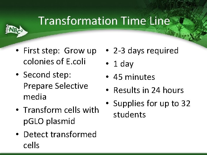 Transformation Time Line • First step: Grow up colonies of E. coli • Second