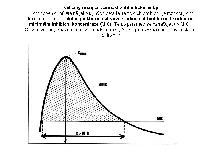 Veličiny určující účinnost antibiotické léčby U aminopenicilinů stejně jako u jiných beta-laktamových antibiotik je