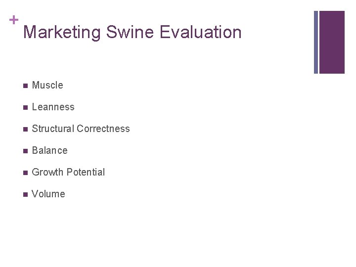 + Marketing Swine Evaluation n Muscle n Leanness n Structural Correctness n Balance n