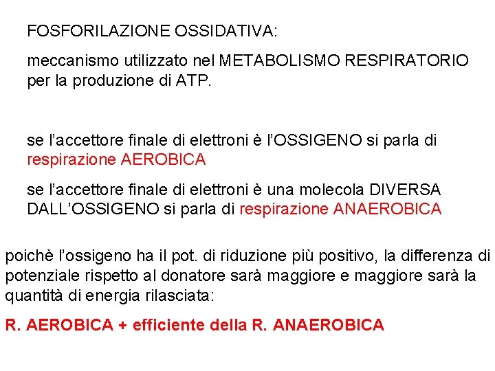 FOSFORILAZIONE OSSIDATIVA: meccanismo utilizzato nel METABOLISMO RESPIRATORIO per la produzione di ATP. se l’accettore