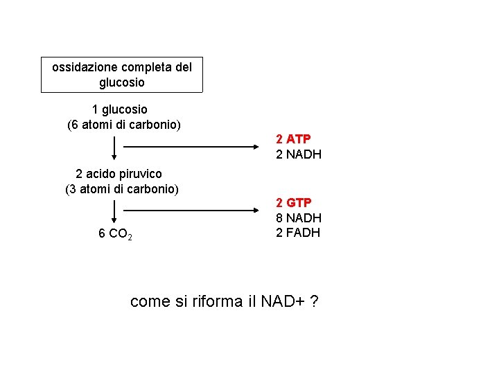 ossidazione completa del glucosio 1 glucosio (6 atomi di carbonio) 2 ATP 2 NADH