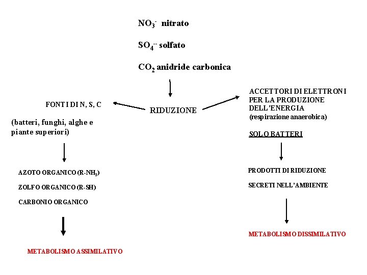 NO 3 - nitrato SO 4 -- solfato CO 2 anidride carbonica FONTI DI