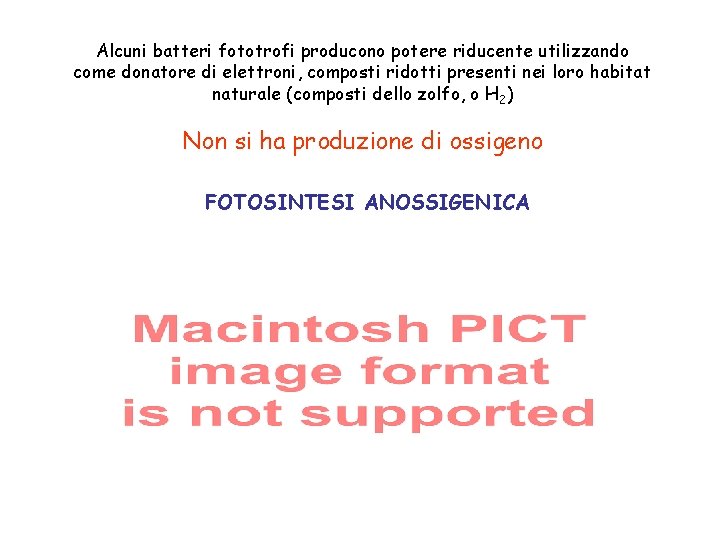 Alcuni batteri fototrofi producono potere riducente utilizzando come donatore di elettroni, composti ridotti presenti