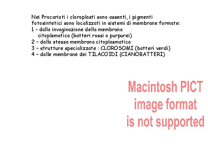 Nei Procarioti i cloroplasti sono assenti, i pigmenti fotosintetici sono localizzati in sistemi di