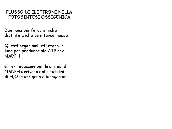 FLUSSO DI ELETTRONI NELLA FOTOSINTESI OSSIGENICA Due reazioni fotochimiche distinte anche se interconnesse Questi