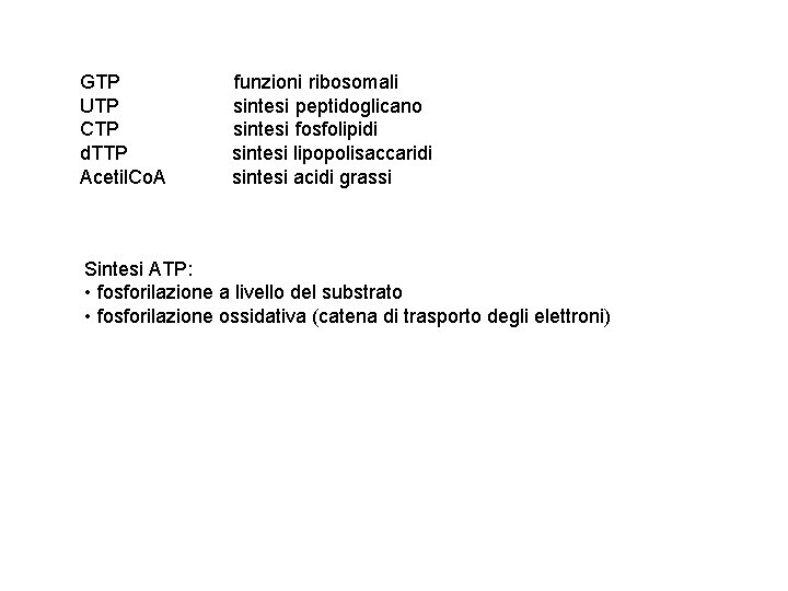 GTP UTP CTP d. TTP Acetil. Co. A funzioni ribosomali sintesi peptidoglicano sintesi fosfolipidi