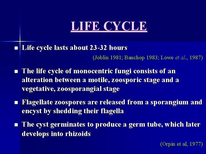 LIFE CYCLE n Life cycle lasts about 23 -32 hours (Joblin 1981; Bauchop 1983;