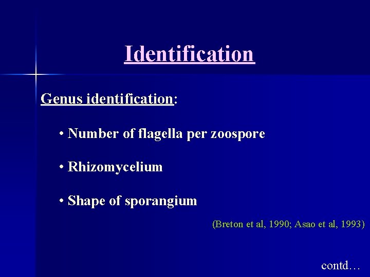 Identification Genus identification: • Number of flagella per zoospore • Rhizomycelium • Shape of