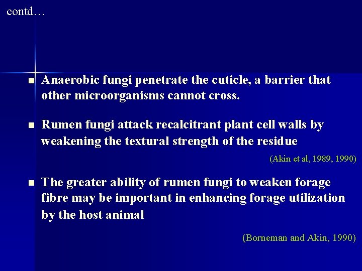 contd… n Anaerobic fungi penetrate the cuticle, a barrier that other microorganisms cannot cross.