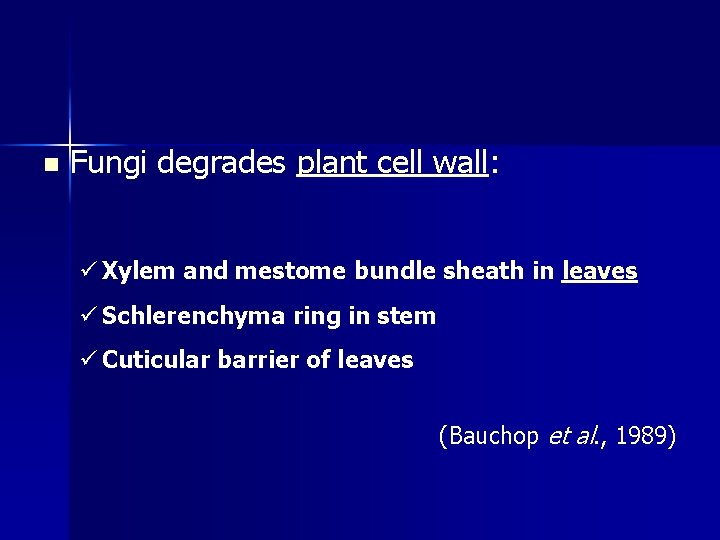 n Fungi degrades plant cell wall: ü Xylem and mestome bundle sheath in leaves