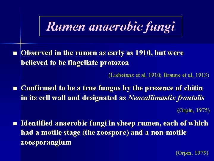 Rumen anaerobic fungi n Observed in the rumen as early as 1910, but were
