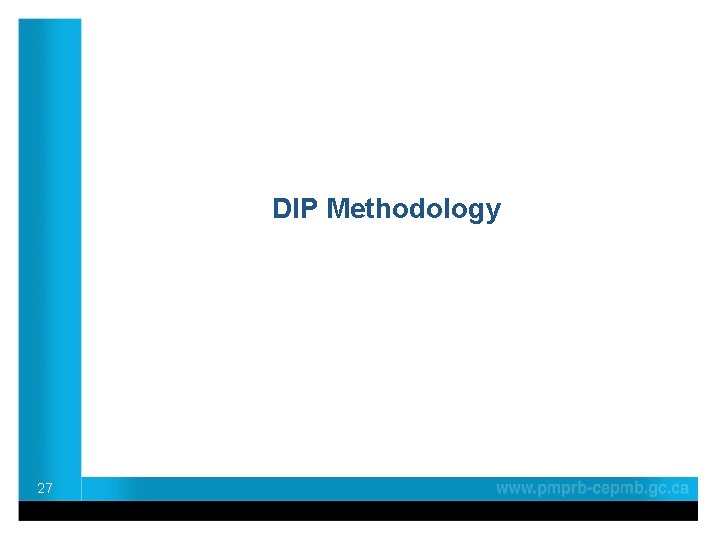 DIP Methodology 27 DIP Methodology 27