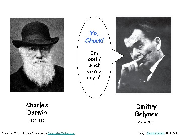 Yo, Chuck! I’m seein’ what you’re sayin’. . Charles Darwin (1809 -1882) From the