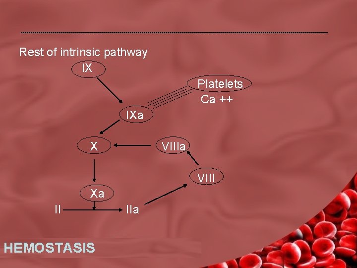 Rest of intrinsic pathway IX Platelets Ca ++ IXa X VIIIa VIII Xa II