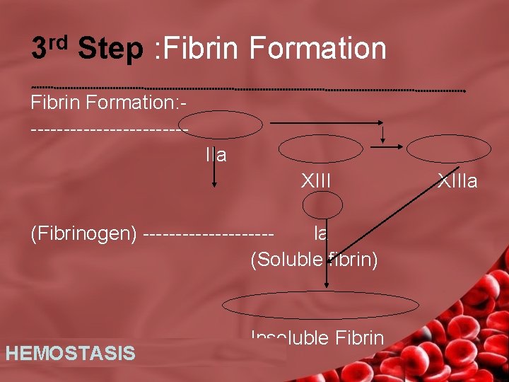 3 rd Step : Fibrin Formation: ------------ IIa XIIIa (Fibrinogen) ---------- Ia (Soluble fibrin)