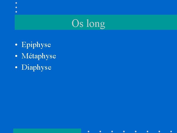 Os long • Epiphyse • Métaphyse • Diaphyse 