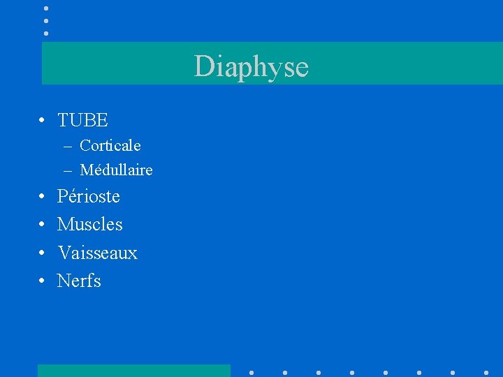 Diaphyse • TUBE – Corticale – Médullaire • • Périoste Muscles Vaisseaux Nerfs 