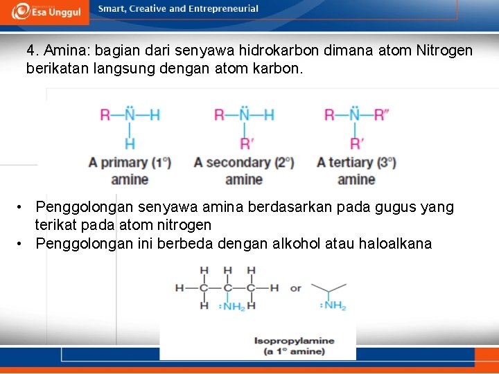 4. Amina: bagian dari senyawa hidrokarbon dimana atom Nitrogen berikatan langsung dengan atom karbon.