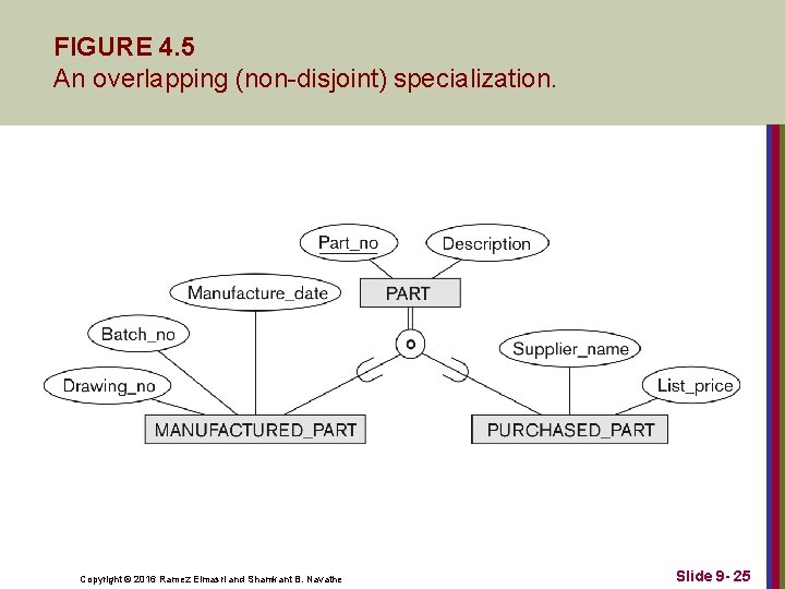 FIGURE 4. 5 An overlapping (non-disjoint) specialization. Copyright © 2016 Ramez Elmasri and Shamkant