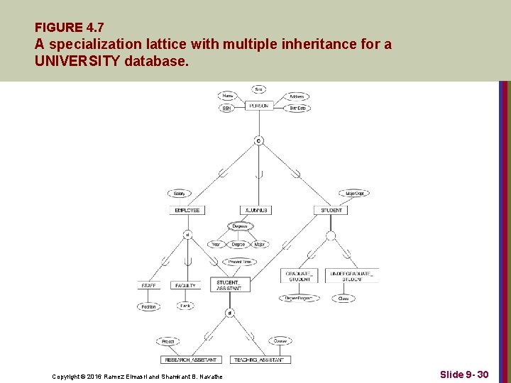 FIGURE 4. 7 A specialization lattice with multiple inheritance for a UNIVERSITY database. Copyright FIGURE 4. 7 A specialization lattice with multiple inheritance for a UNIVERSITY database. Copyright