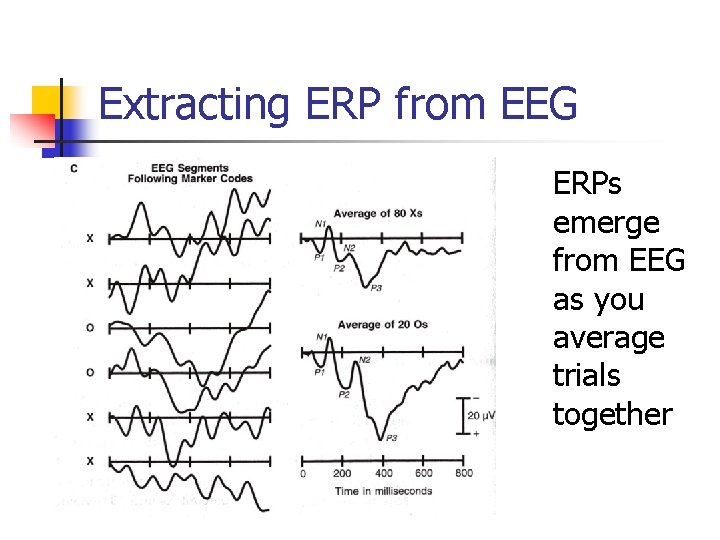 Extracting ERP from EEG ERPs emerge from EEG as you average trials together 