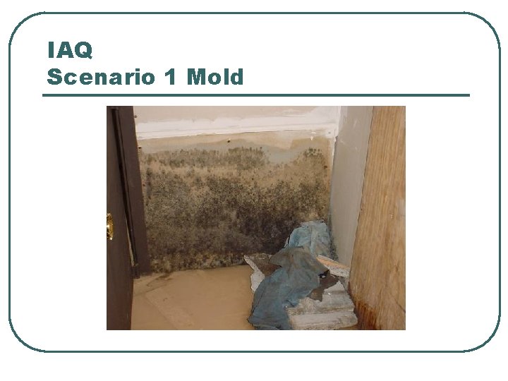 IAQ Scenario 1 Mold 