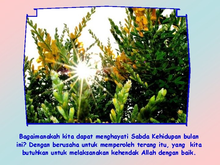 Bagaimanakah kita dapat menghayati Sabda Kehidupan bulan ini? Dengan berusaha untuk memperoleh terang itu,