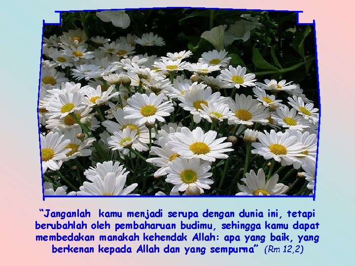 “Janganlah kamu menjadi serupa dengan dunia ini, tetapi berubahlah oleh pembaharuan budimu, sehingga kamu