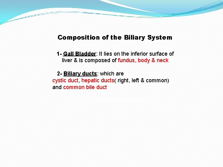 Composition of the Biliary System 1 - Gall Bladder: It lies on the inferior