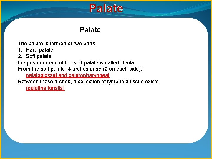 Palate The palate is formed of two parts: 1. Hard palate 2. Soft palate