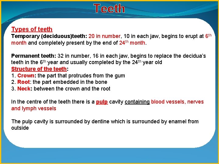 Teeth Types of teeth Temporary (deciduous)teeth: 20 in number, 10 in each jaw, begins